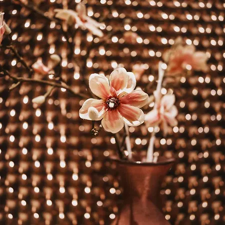 Flachauerhof Hotel Flachau