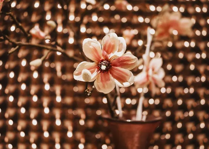 Flachauerhof Otel Flachau